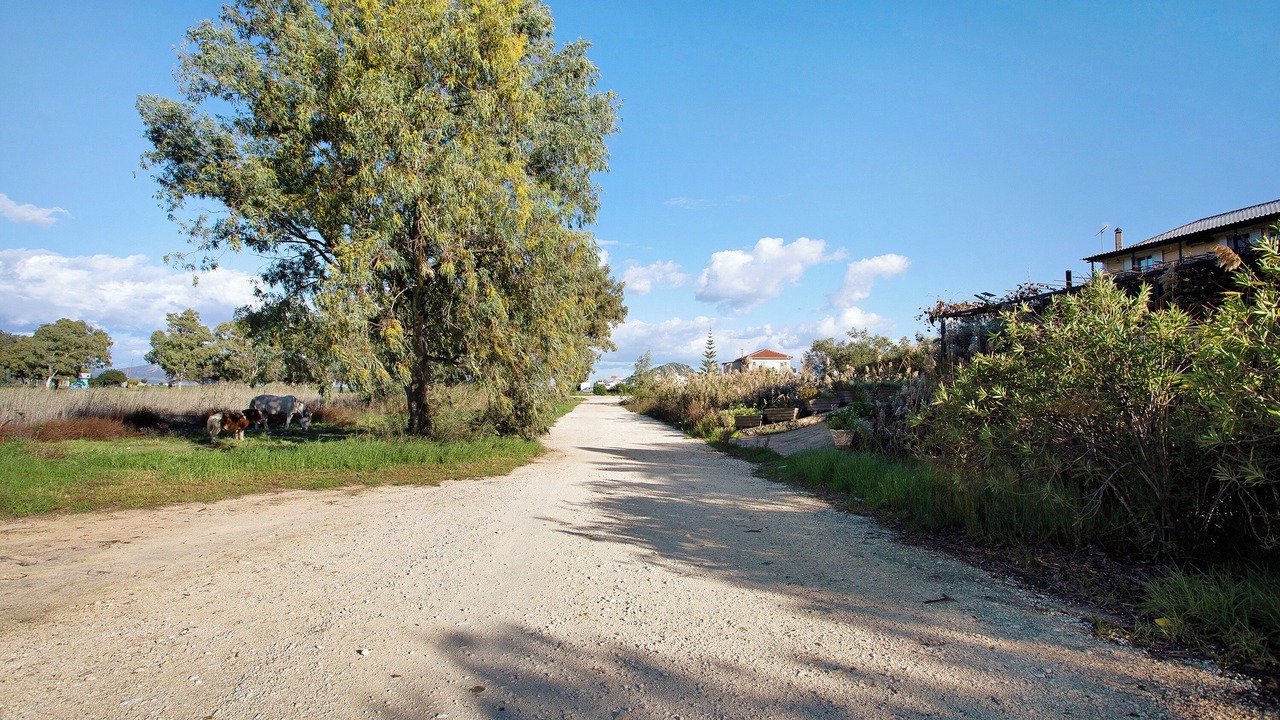 Photo of Others in Limni Keri