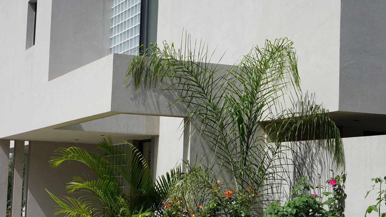 Photo of Outdoor in Maleme