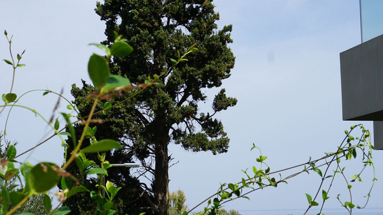 Photo of Outdoor in Maleme