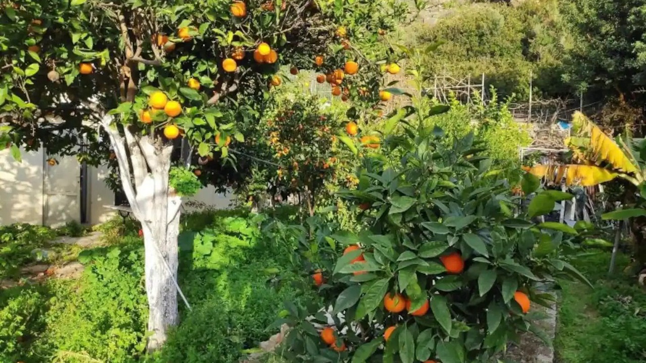 Photo of Outdoor in Tertsa