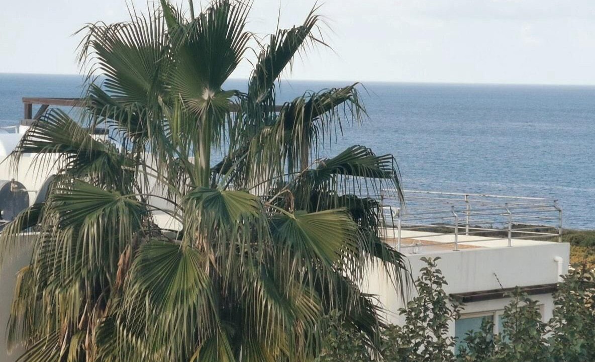 Photo of Others in Esentepe