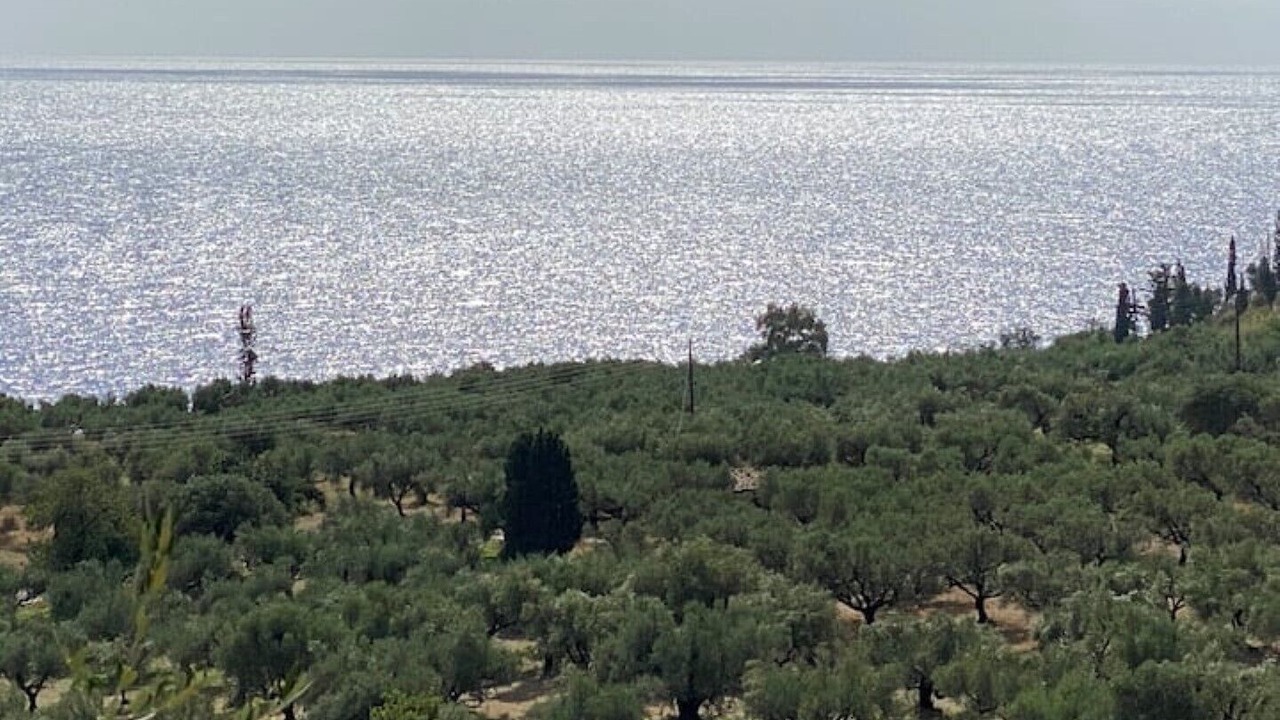 Photo of Outdoor in Vasilitsion