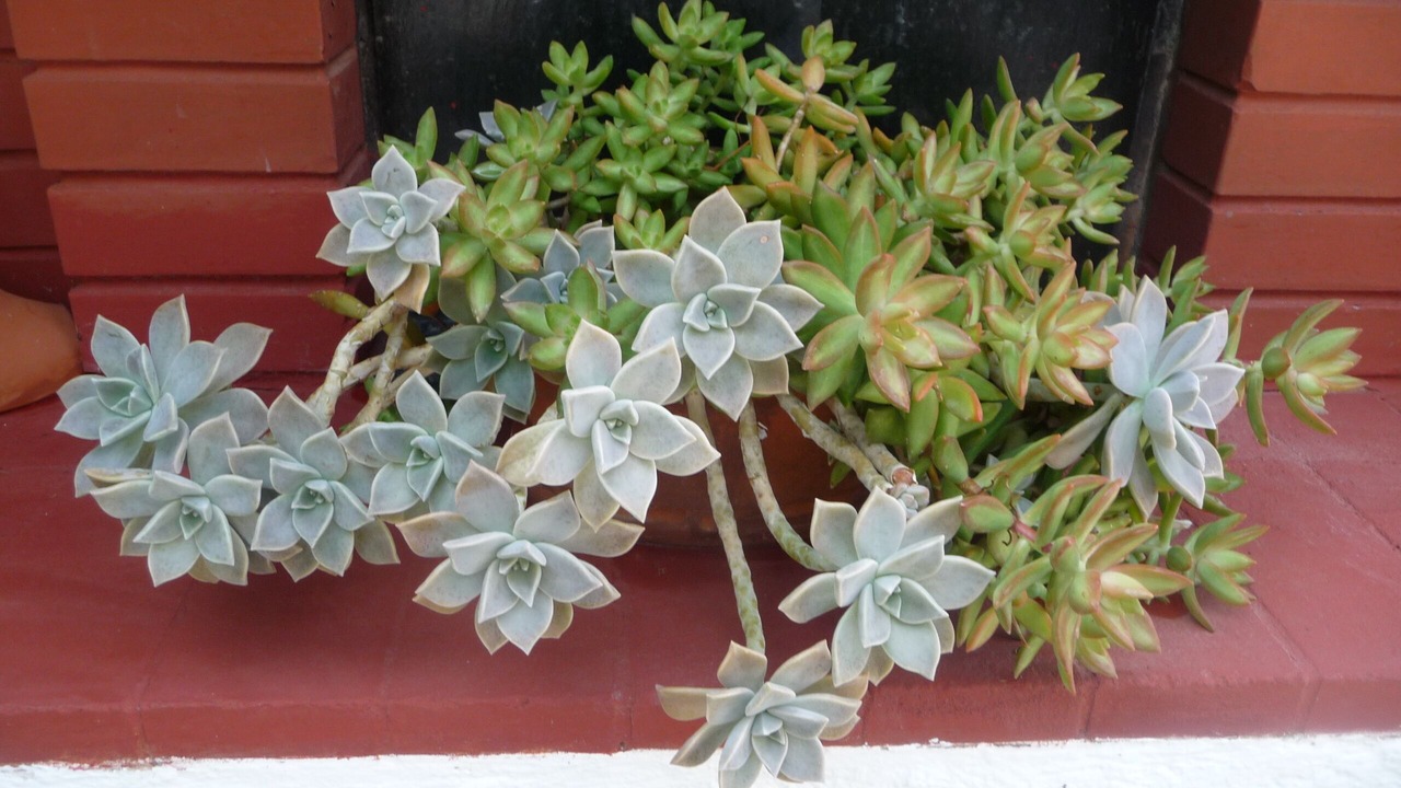 Photo of Outdoor in Archanes