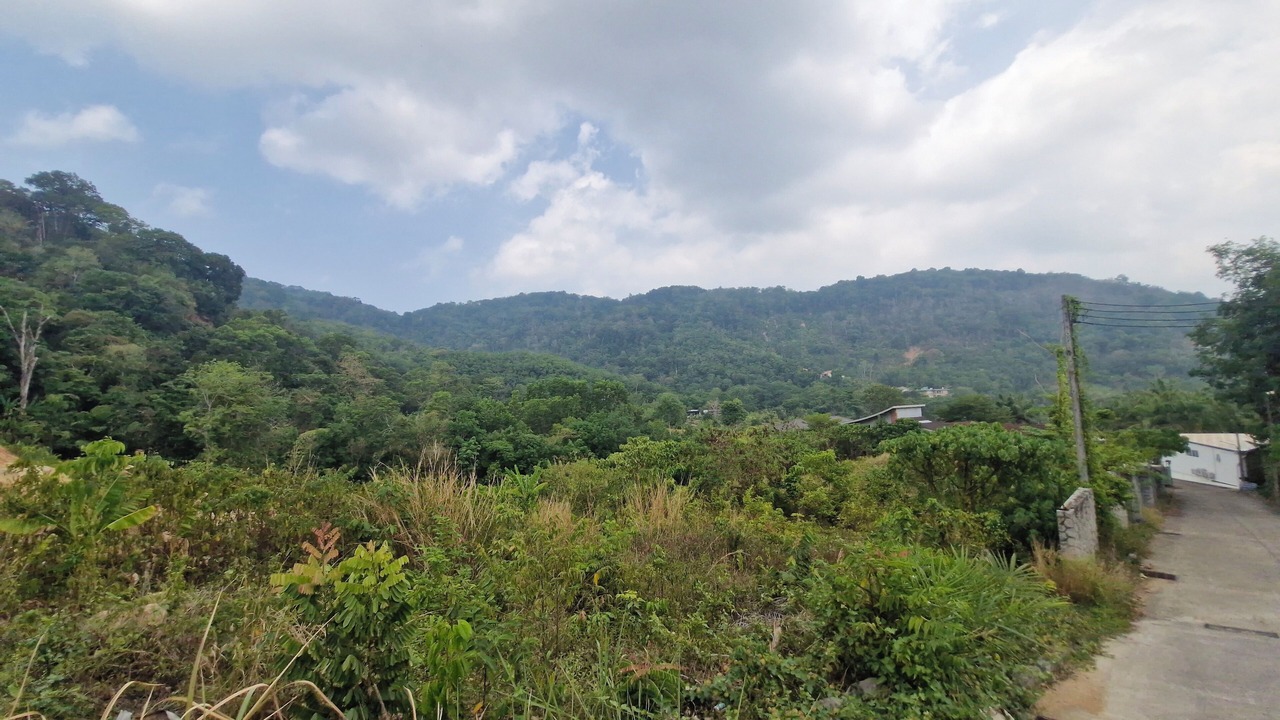 Photo of Others in Chalong