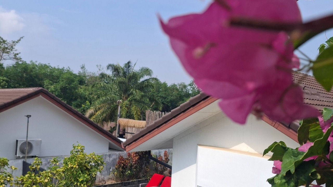 Photo of Outdoor in Chalong