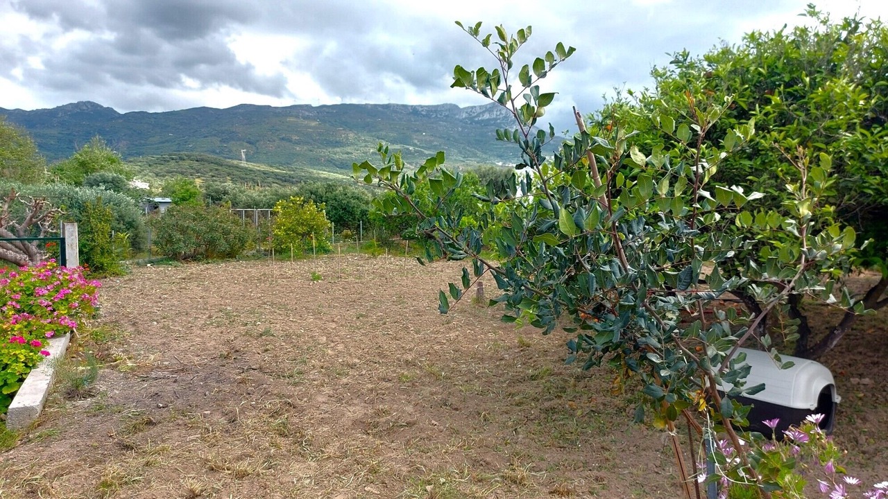 Photo of Outdoor in Piskokefalon