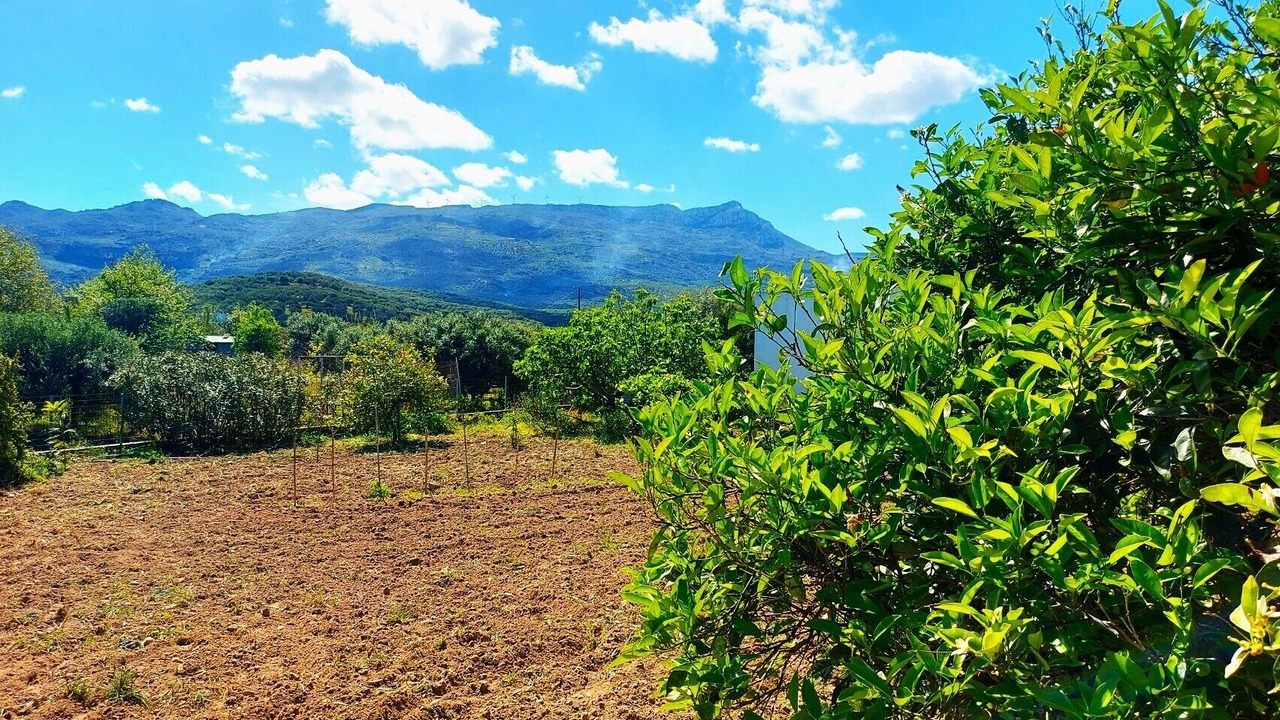 Photo of Outdoor in Piskokefalon