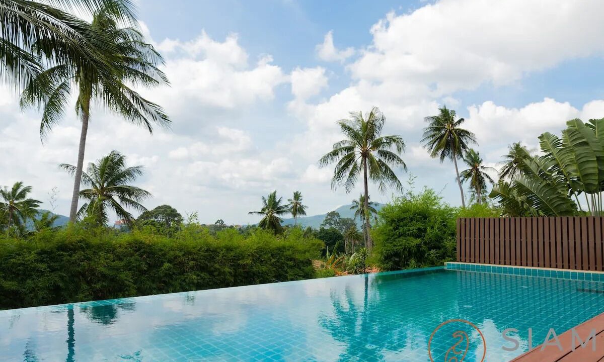 Photo of Others in Koh Samui