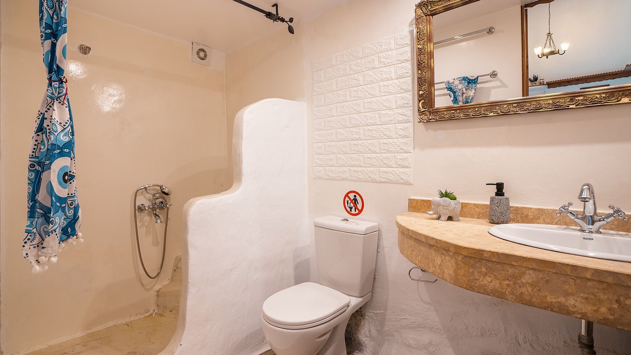 Photo of Bathroom in Psinthos