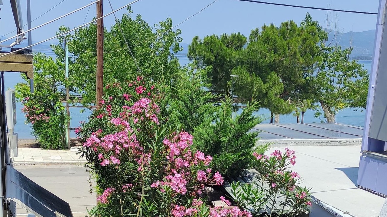 Photo of Outdoor in Kamena Vourla