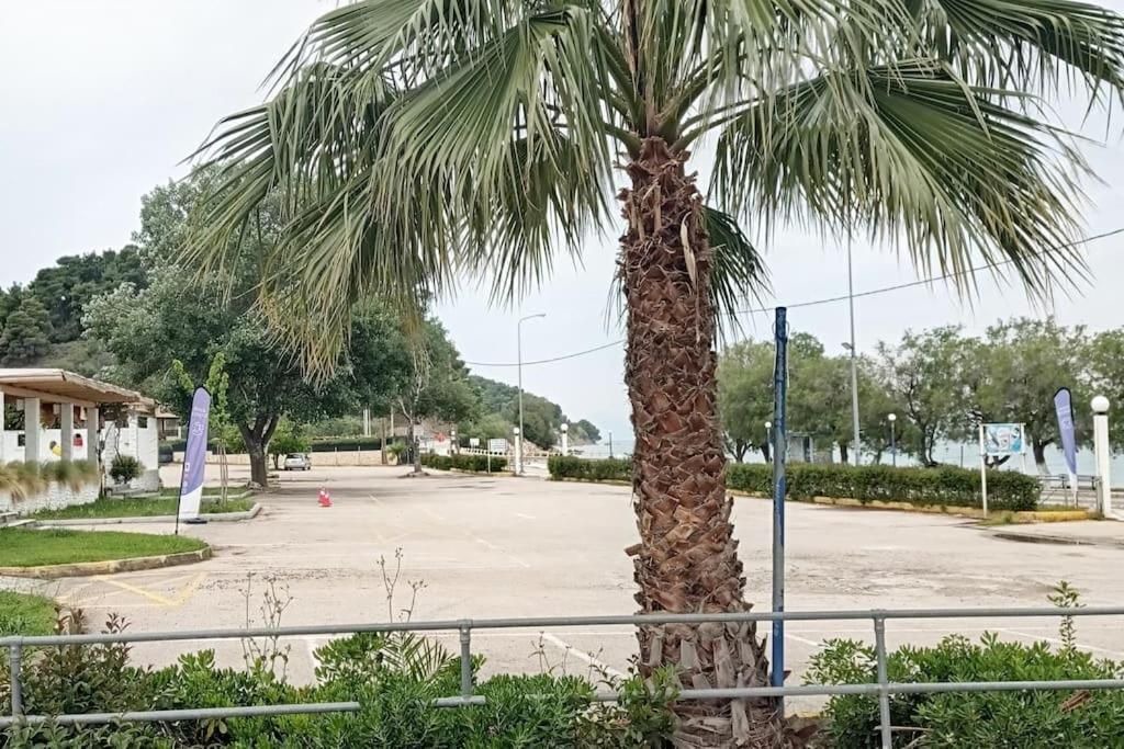 Photo of Outdoor in Oropos