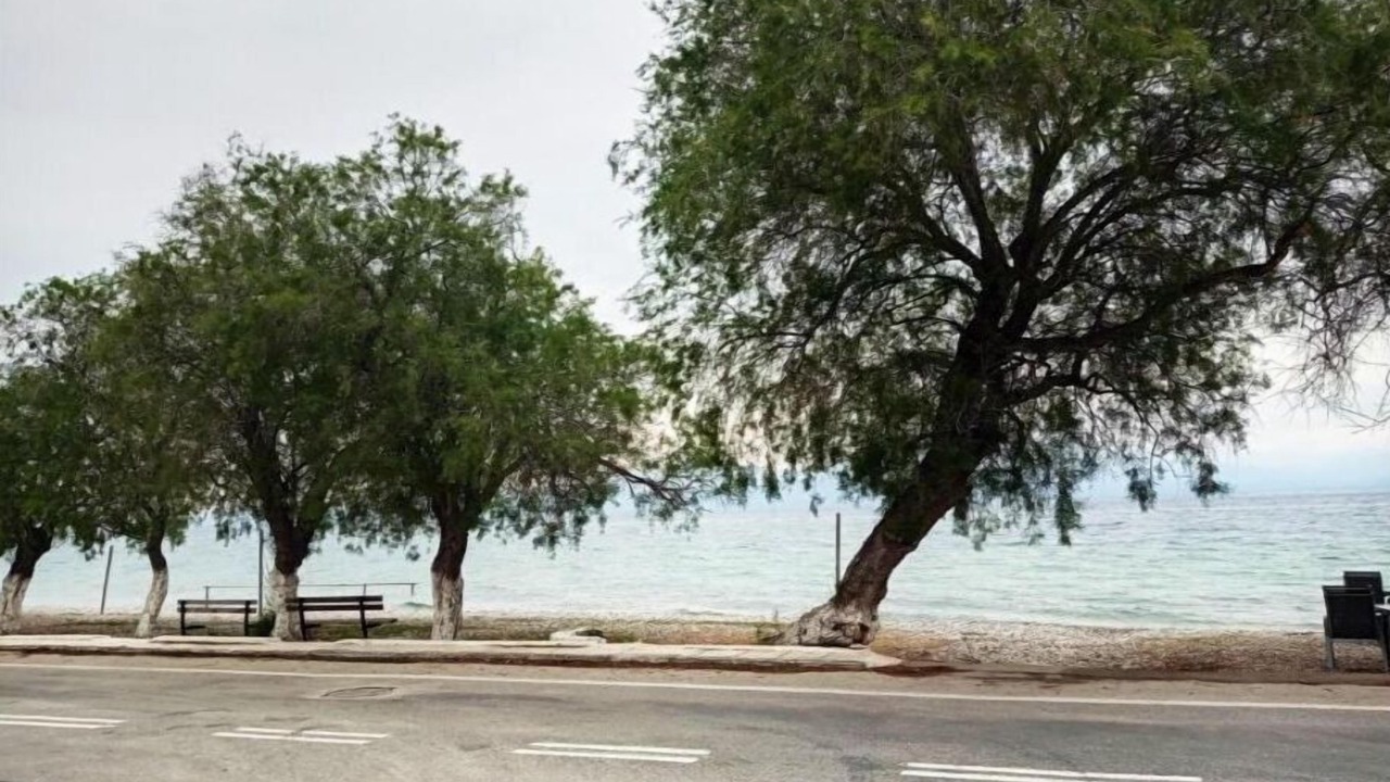 Photo of Outdoor in Oropos