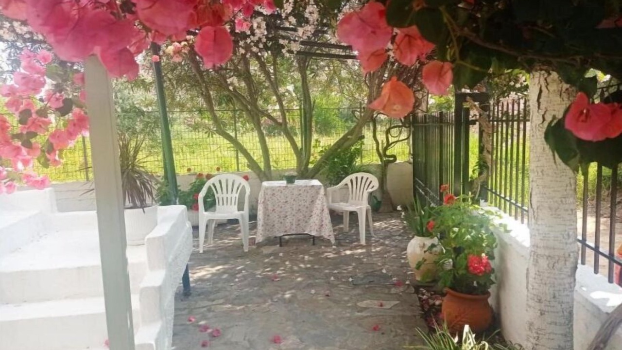 Photo of Outdoor in Oropos