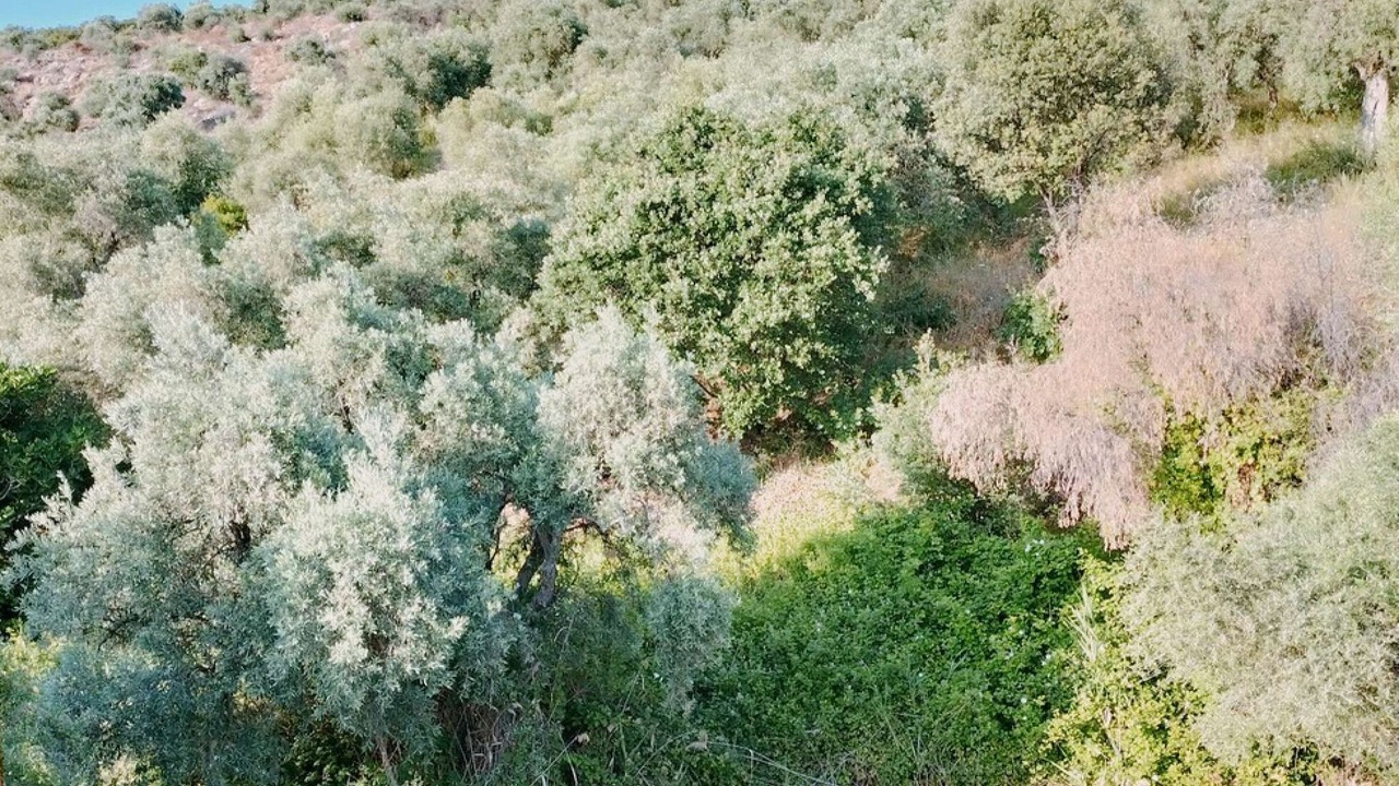 Photo of Patio Balcony in Lefokastron