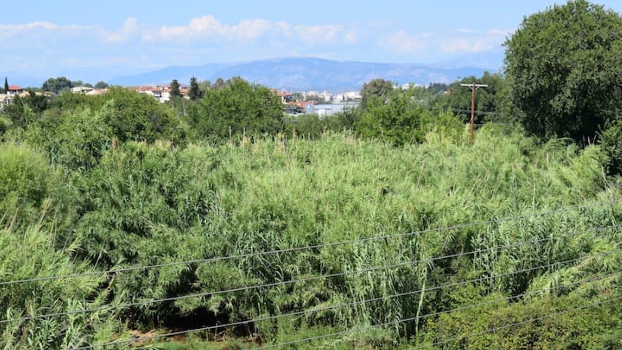 Photo of Outdoor in Corfu