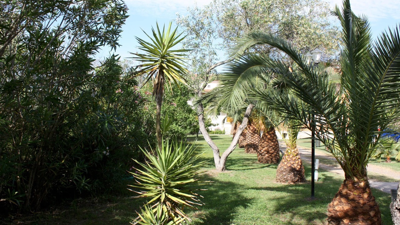 Photo of Outdoor in Kavos