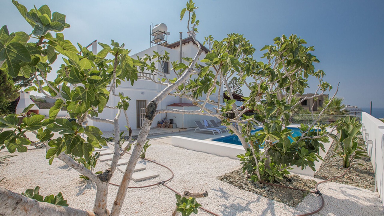 Photo of Outdoor in Ayia Napa