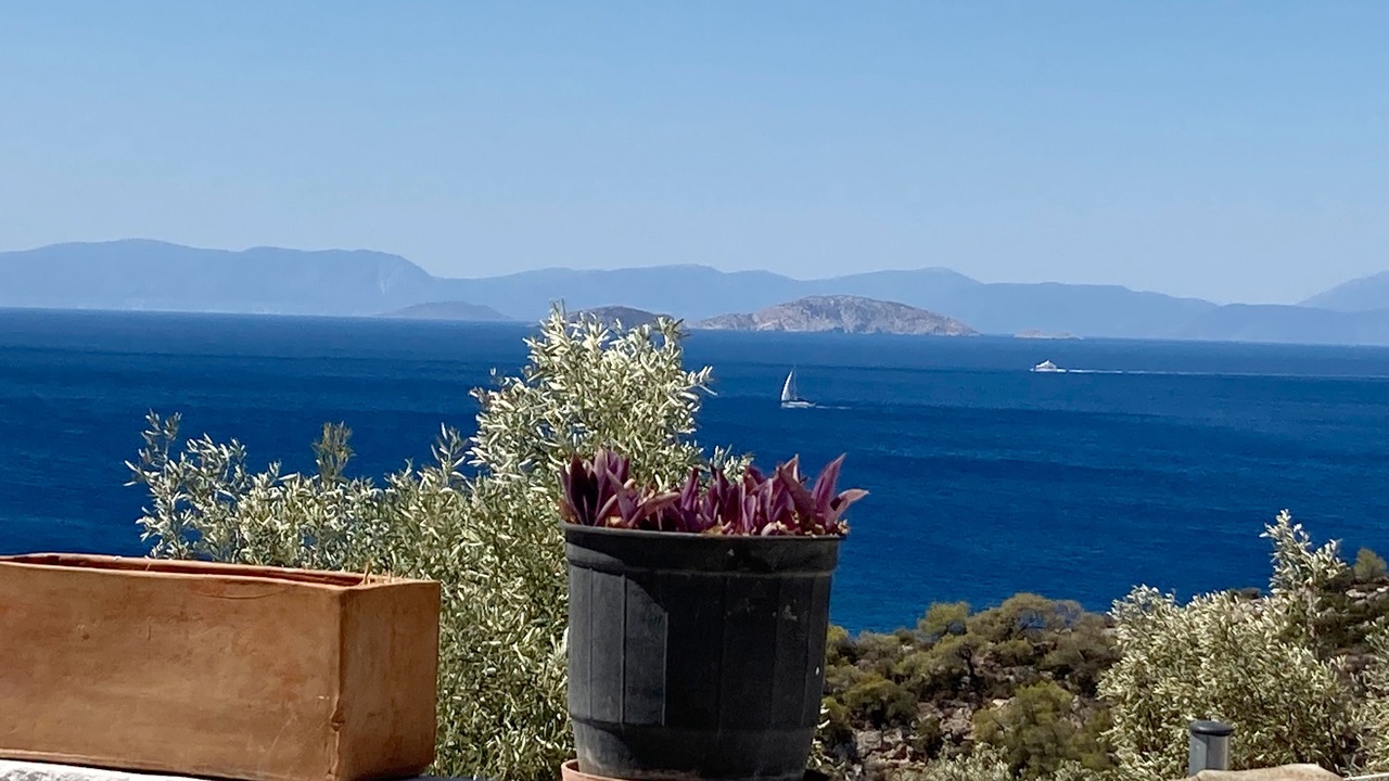 Photo of Others in Salamis