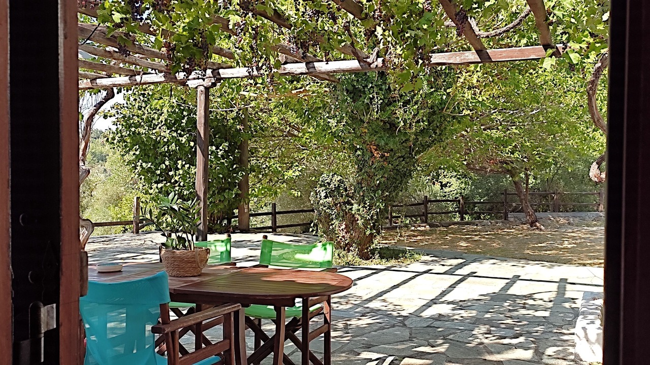 Photo of Outdoor in Kato Vrontou