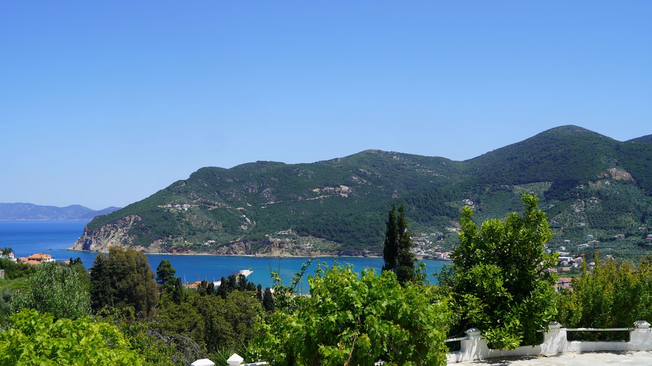 Photo of Others in Skopelos Town
