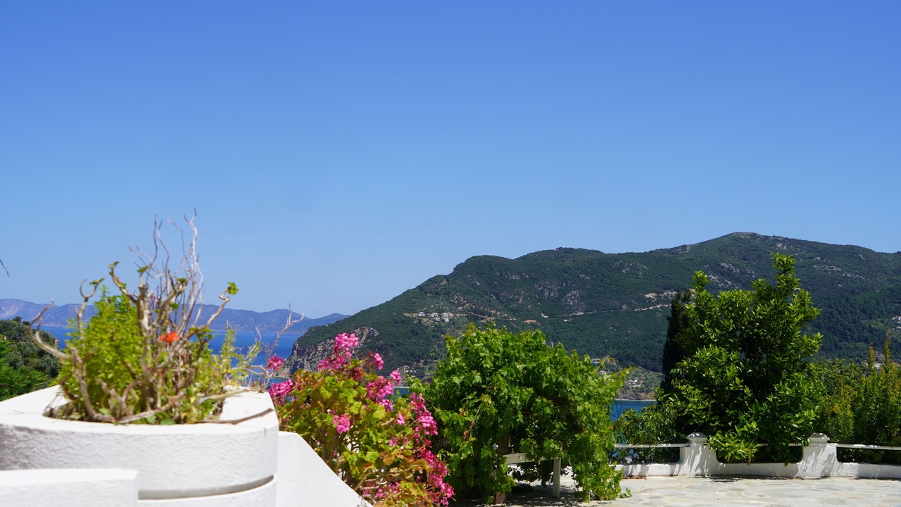 Photo of Outdoor in Skopelos Town
