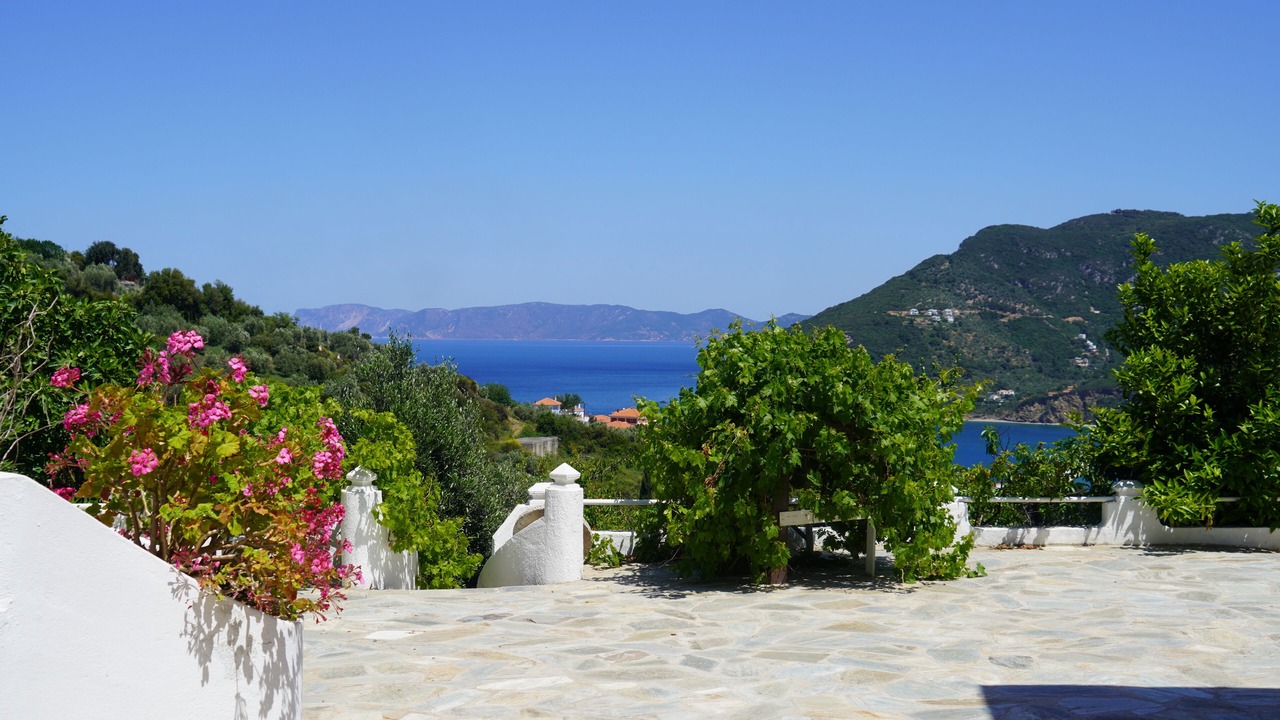 Photo of Outdoor in Skopelos Town