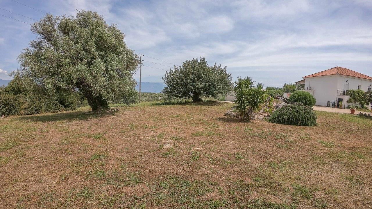 Photo of Outdoor in Messini