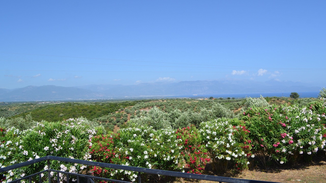 Photo of Outdoor in Messini
