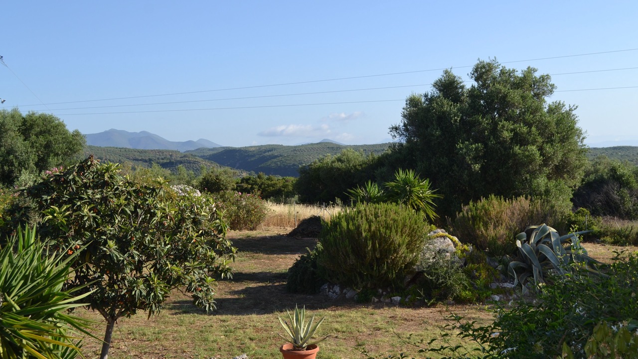 Photo of Outdoor in Messini
