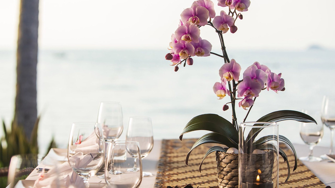 Photo of Outdoor in Lipa Noi