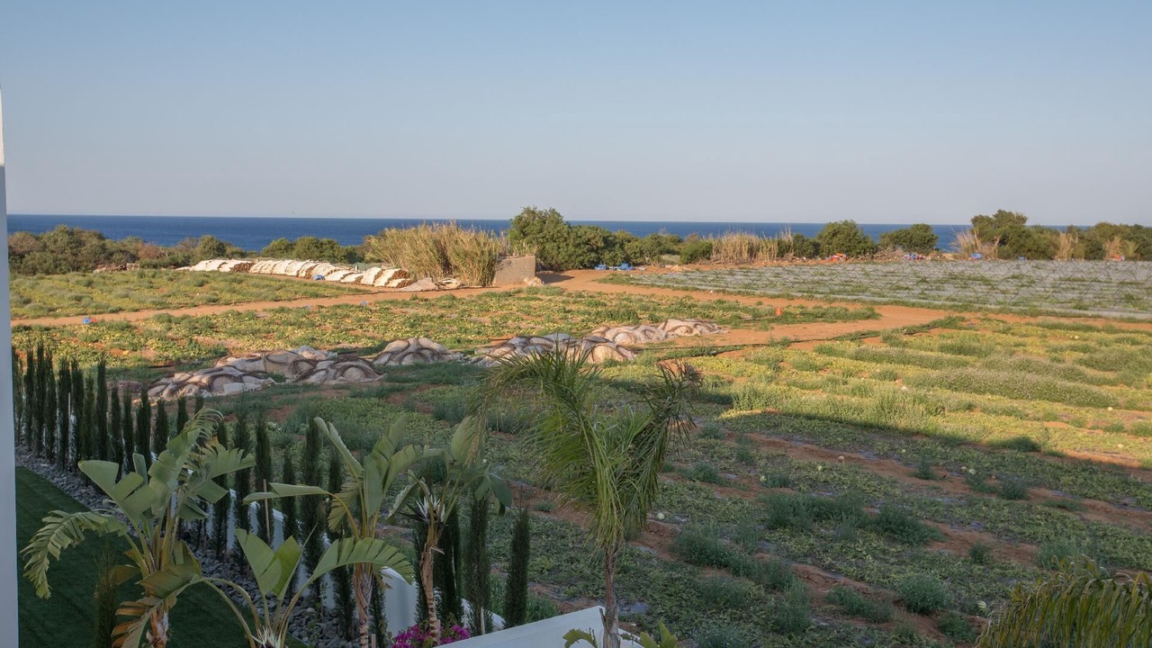 Photo of Outdoor in Kapparis