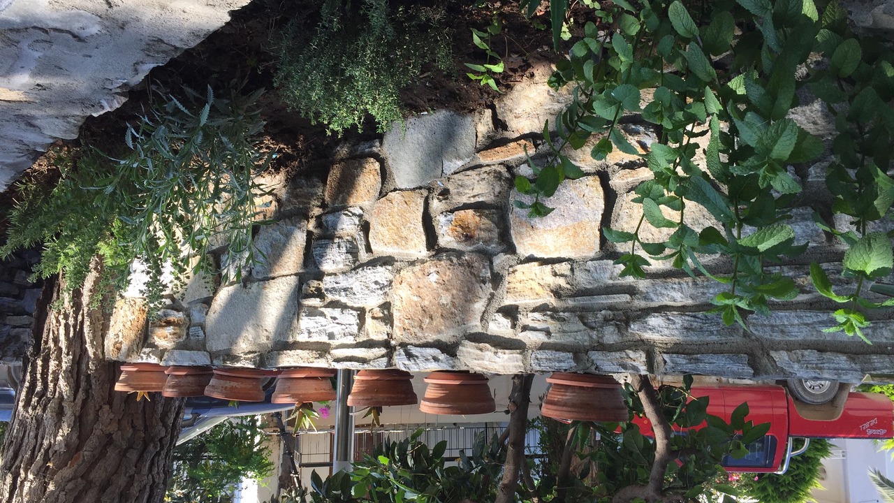 Photo of Outdoor in Limenaria