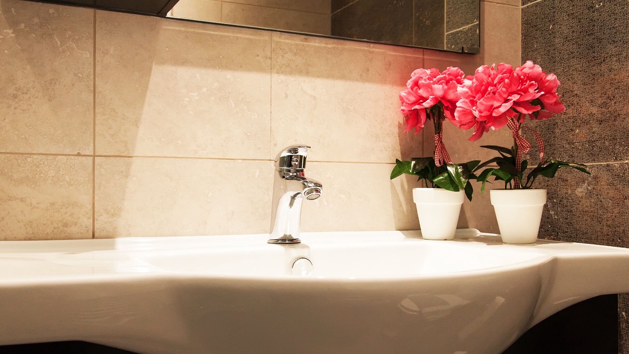 Photo of Bathroom in Nea Chora