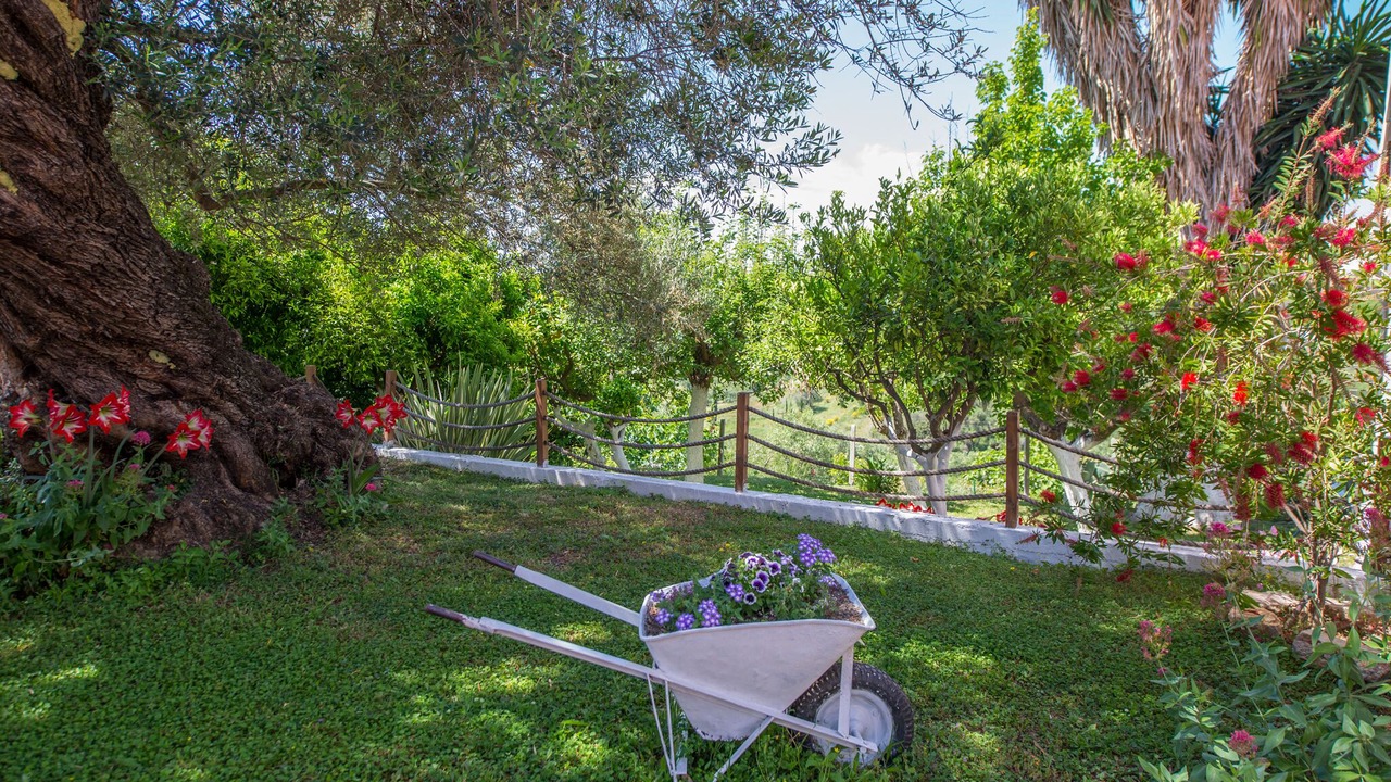 Photo of Outdoor in Arillas