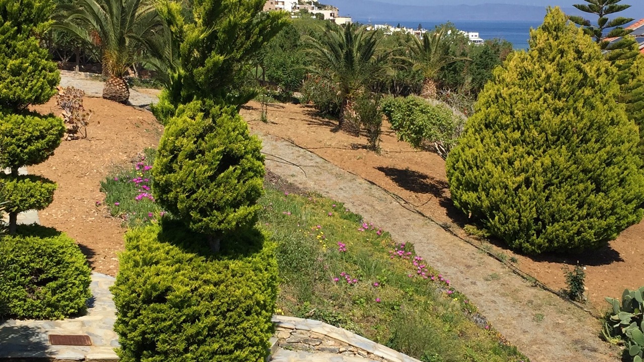 Photo of Outdoor in Mochlos