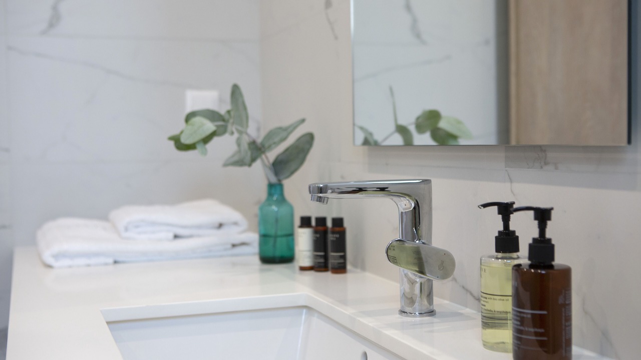 Photo of Bathroom in Apolpaina