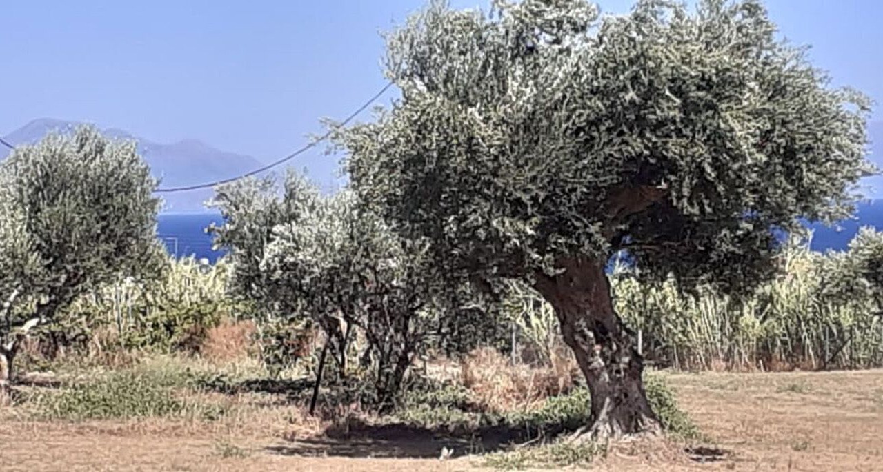 Photo of Outdoor in Pylos-Nestoras