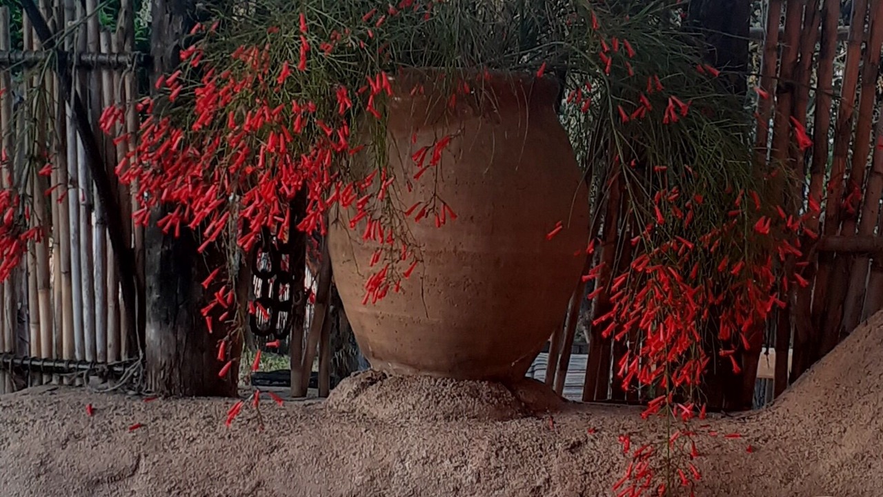 Photo of Outdoor in Pylos-Nestoras
