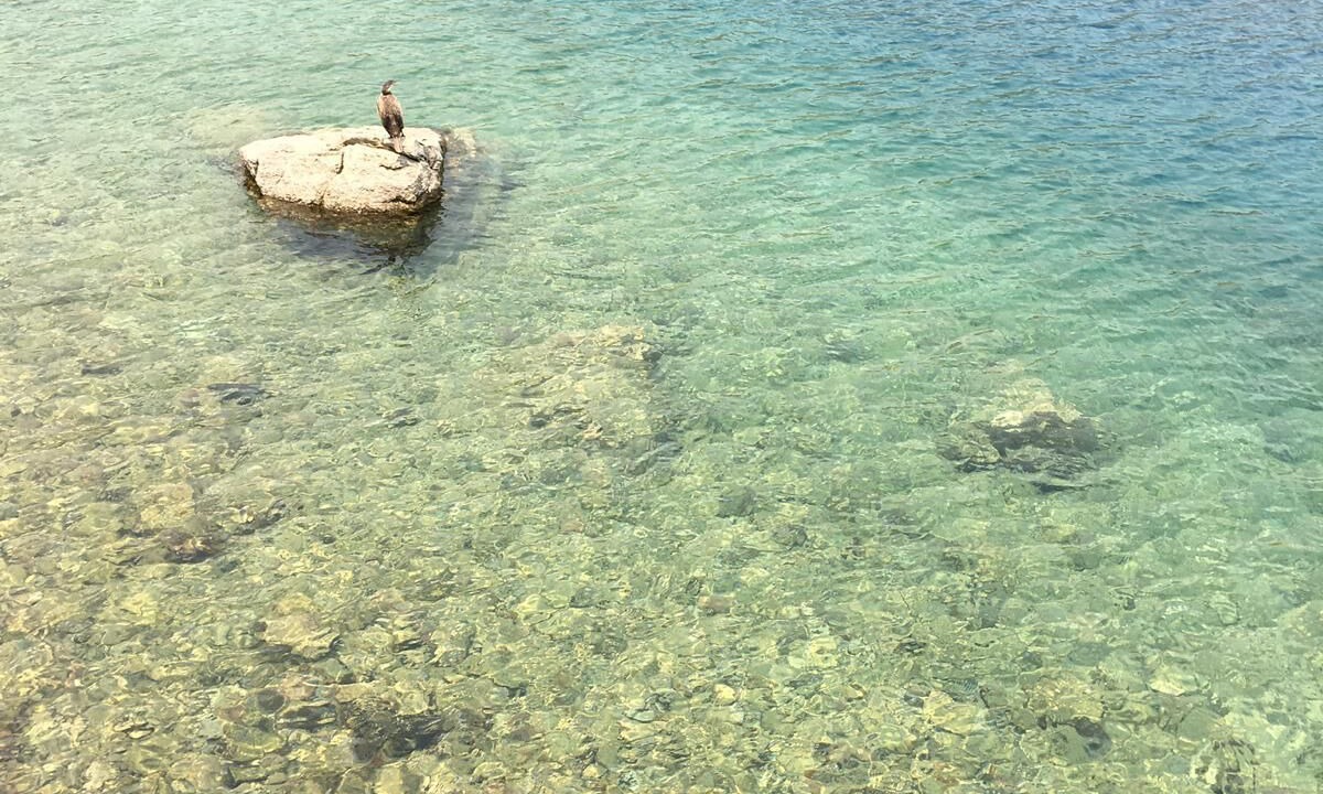 Photo of Others in Symi