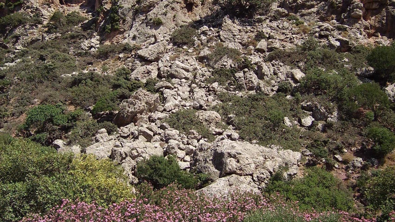 Photo of Others in Sitia