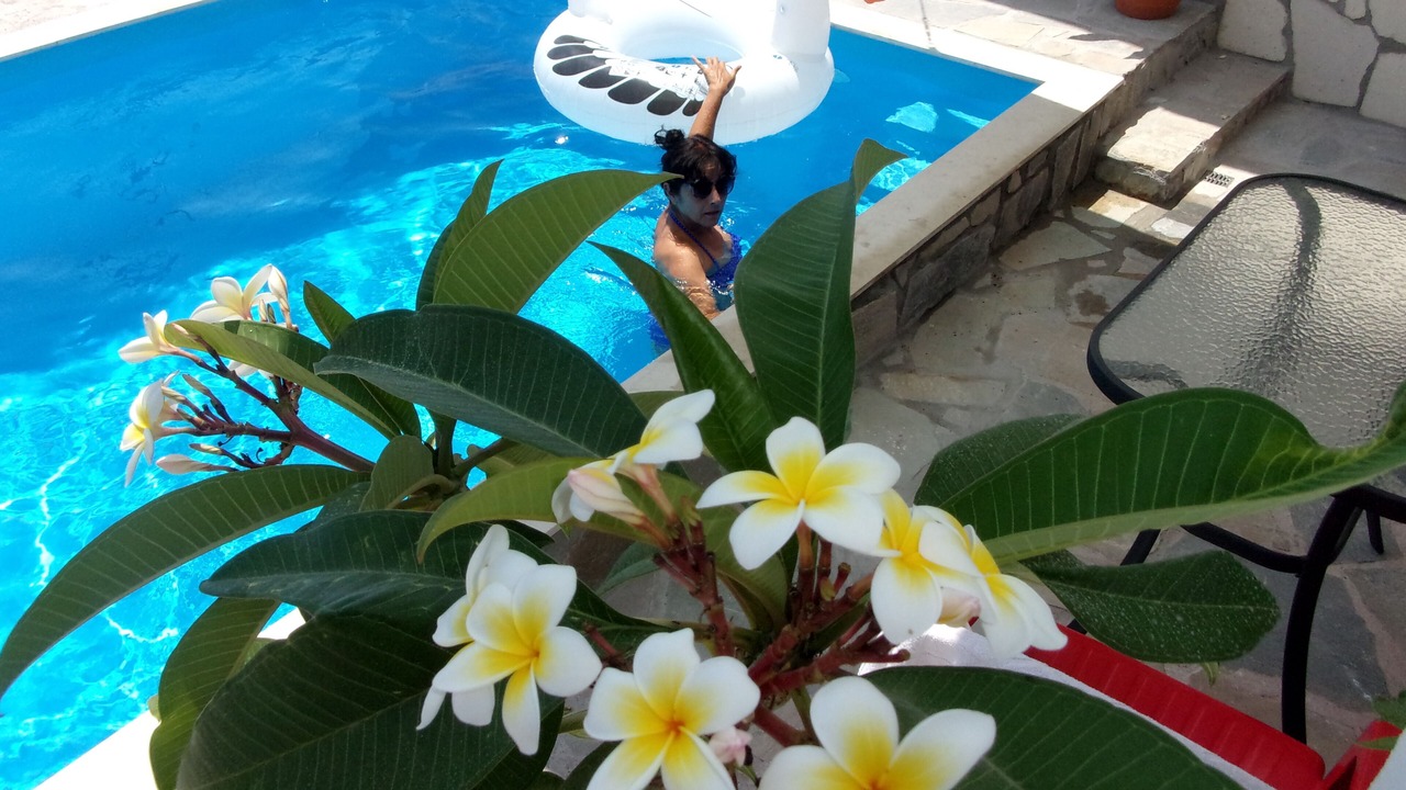 Photo of Outdoor in Sitia