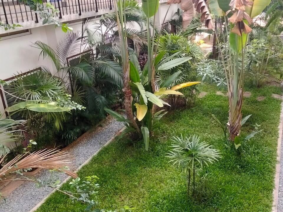 Photo of Outdoor in Siem Reap