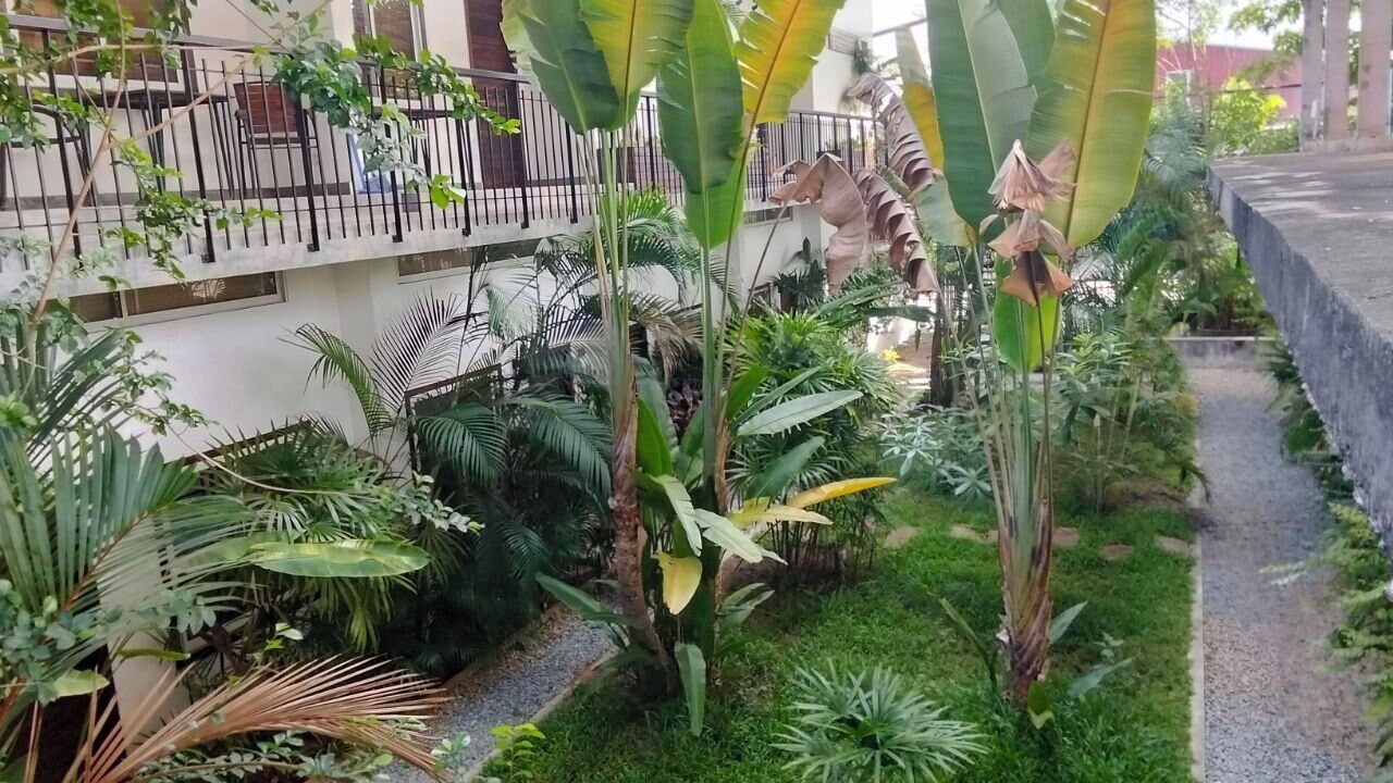 Photo of Outdoor in Siem Reap