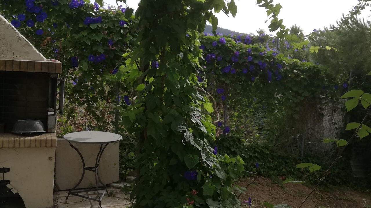 Photo of Patio Balcony in Dirfys-Messapia