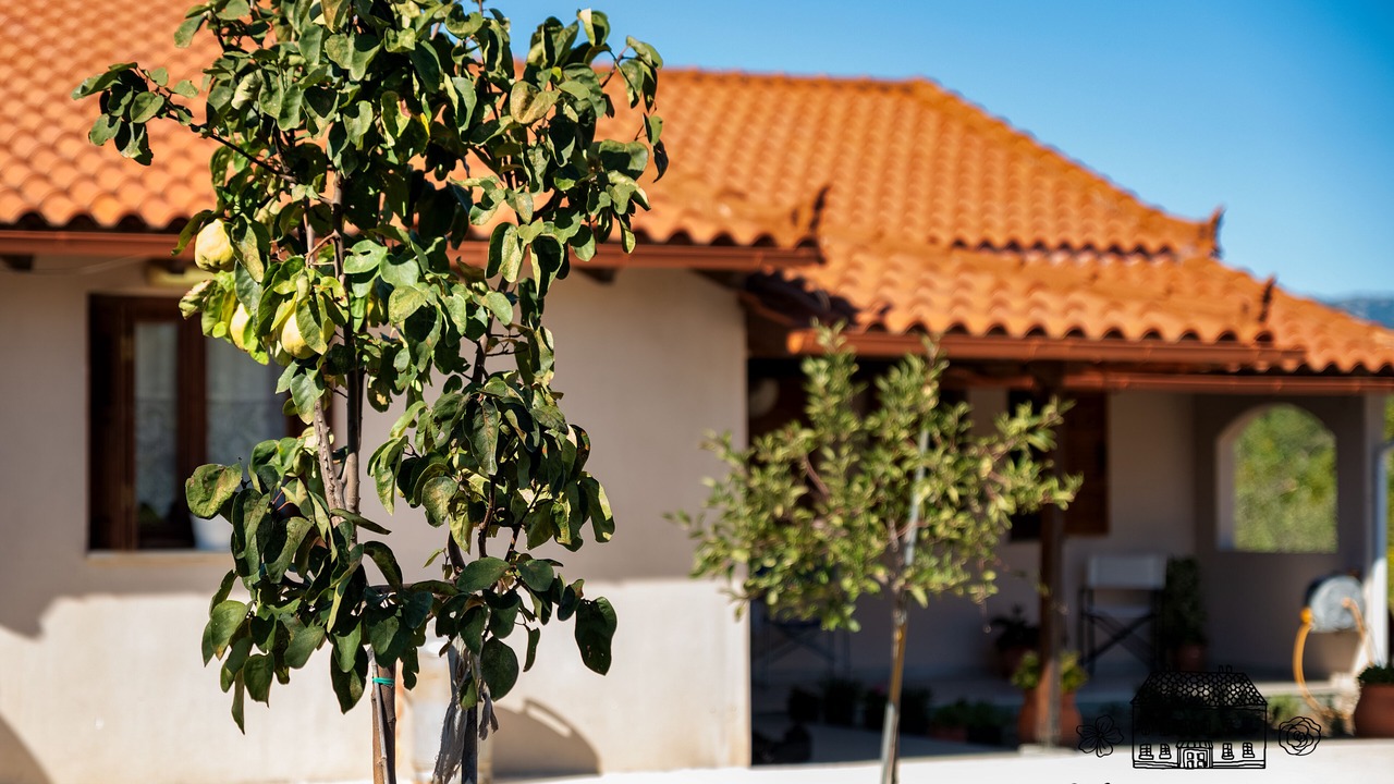 Photo of Outdoor in Sipiada