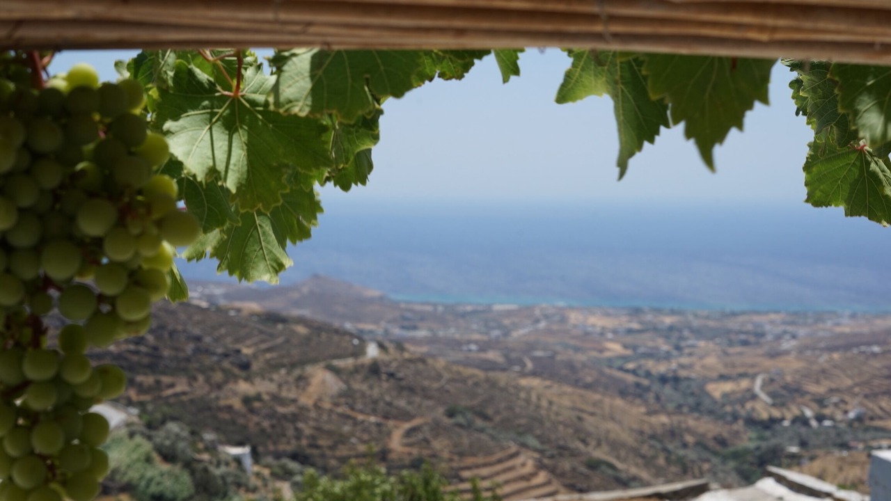 Photo of Others in Tinos