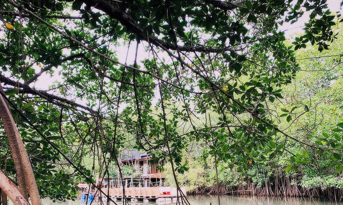 Photo of Others in Laem Phak Bia