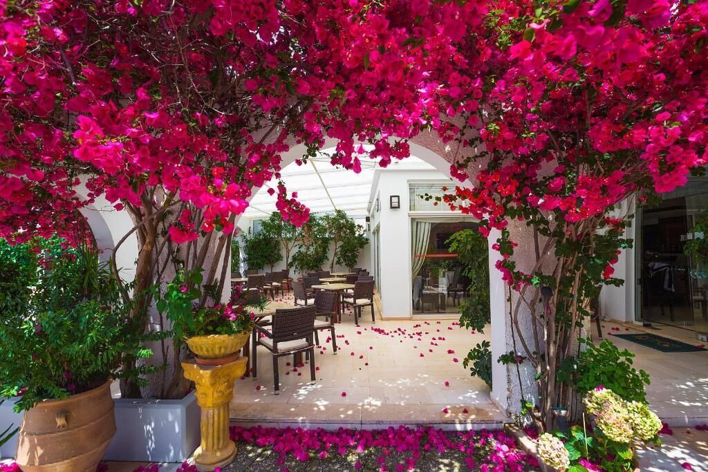 Photo of Outdoor in Kiparissia