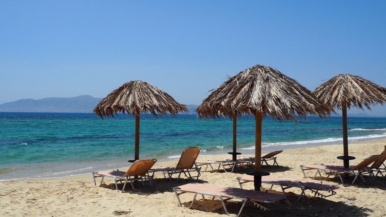 Photo of Others in Posidonia