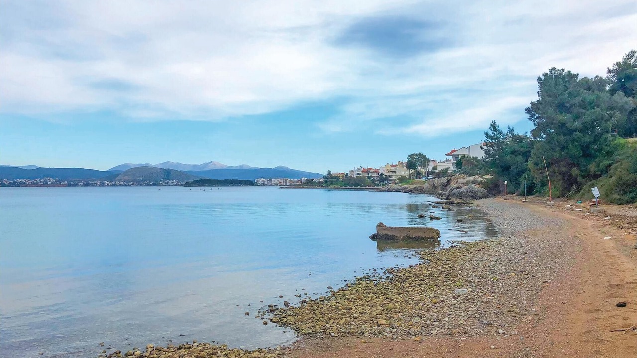 Photo of Others in Chalcis